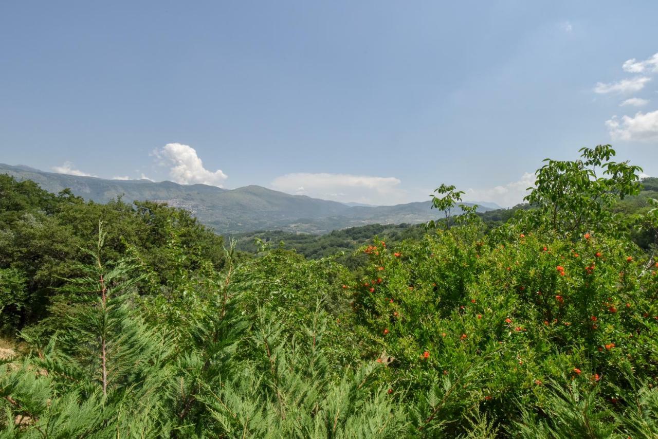 Agriturismo L'Antico Casolare Castelcivita Ngoại thất bức ảnh